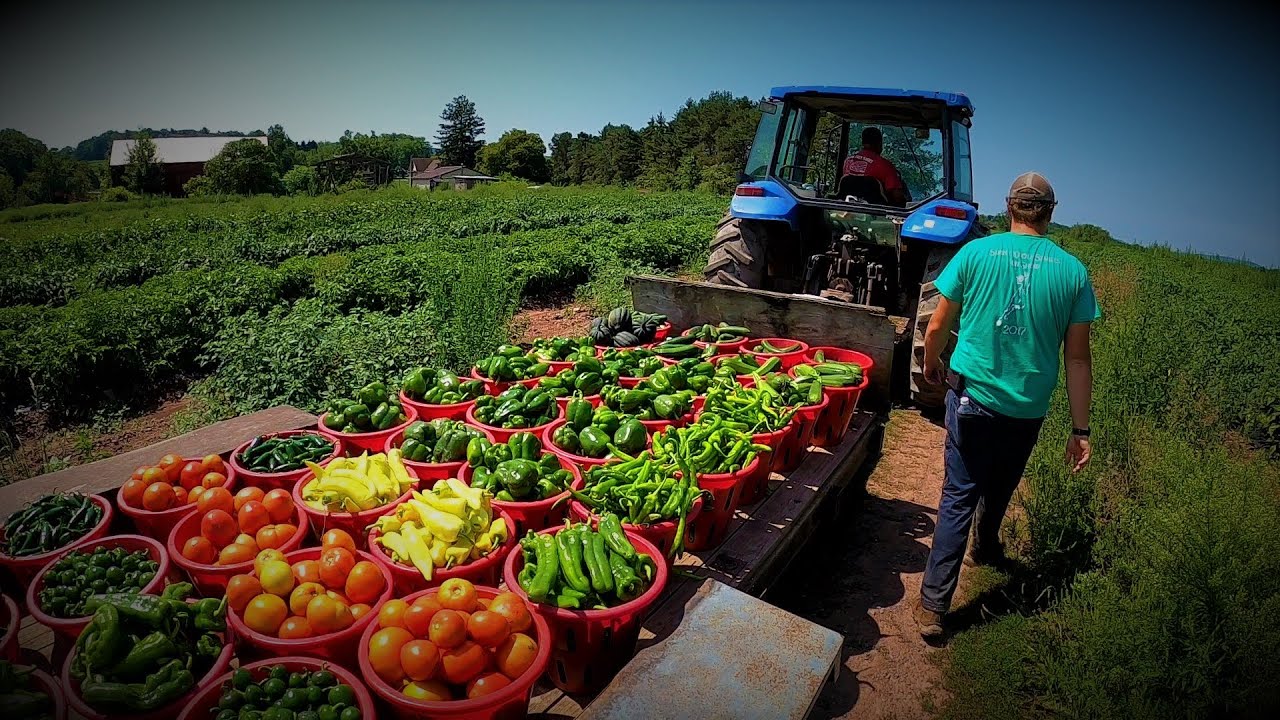 Agriculture investment