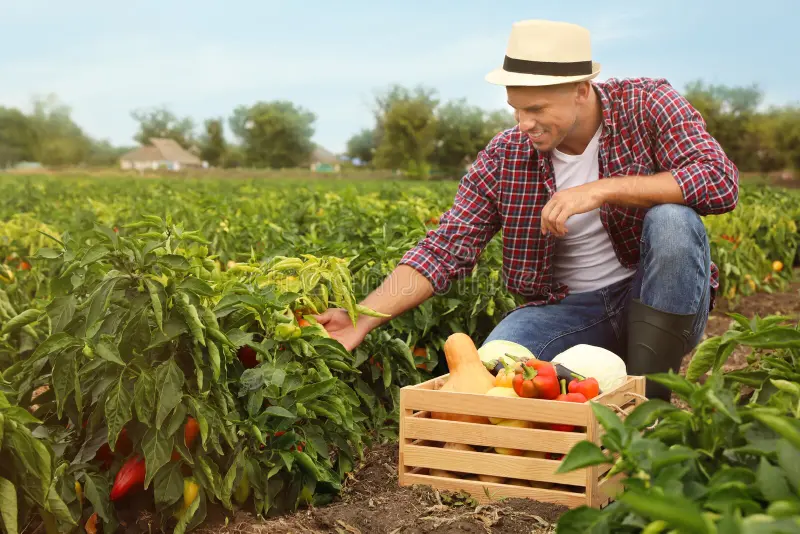 Agriculture